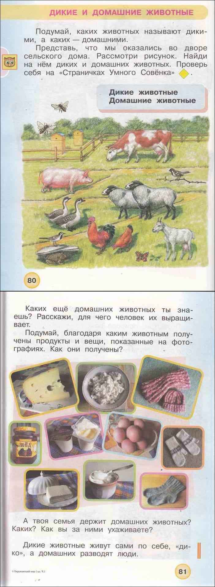 Читать онлайн учебник по окружающему миру за 1 класс Плешаков Новицкая ...