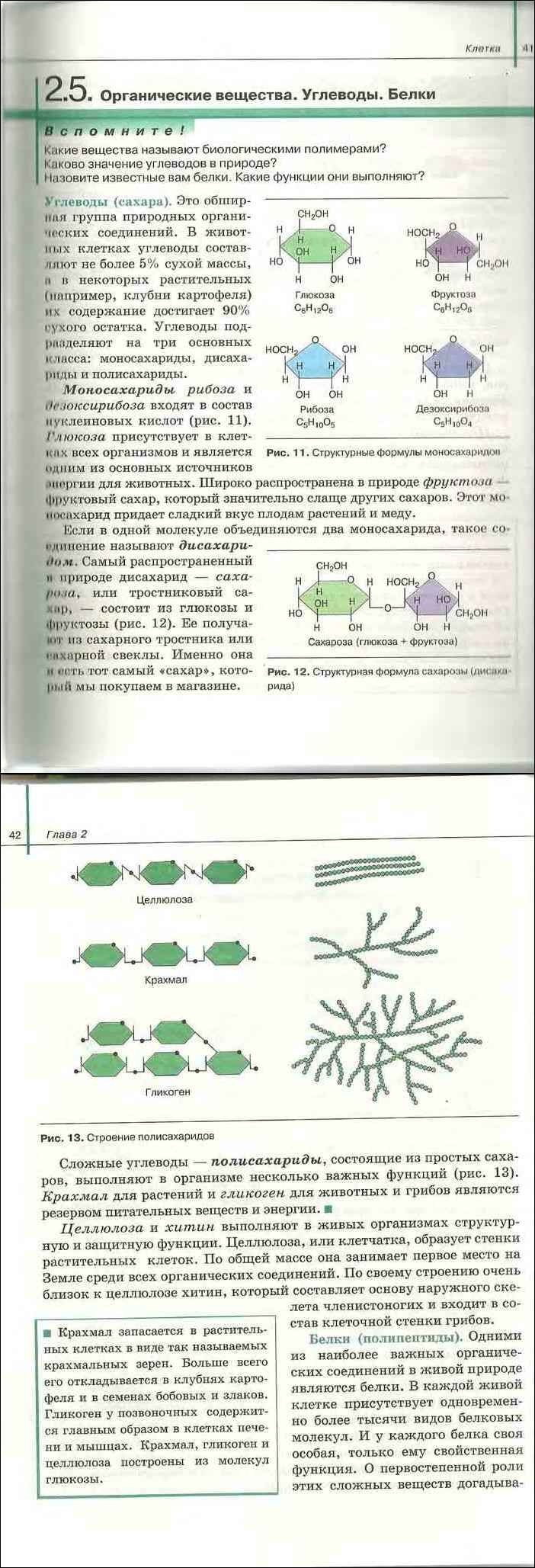 Учебник биологии 11 класс сивоглазов агафонова