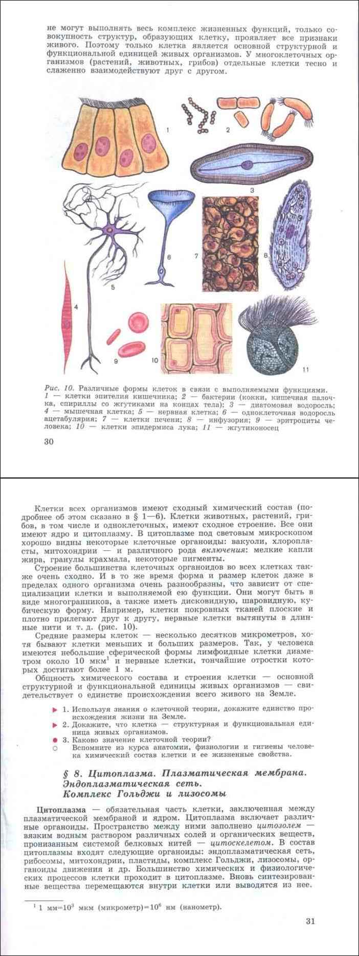 Читать онлайн учебник по биологии за 10-11 класс Беляева Дымшица